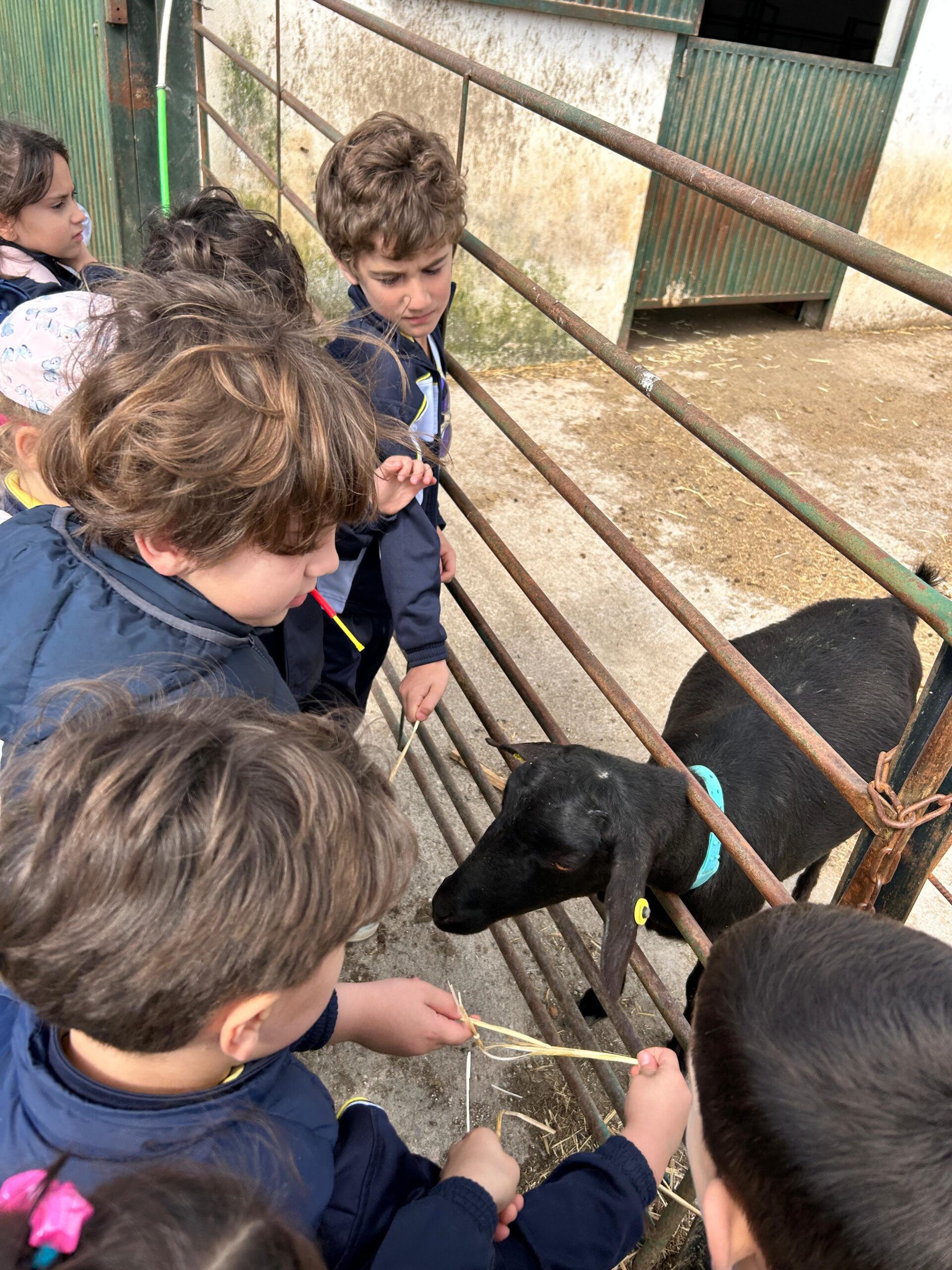 95d9ba43 e6d4 4ff1 99c2 8187f72e5f1a scaled