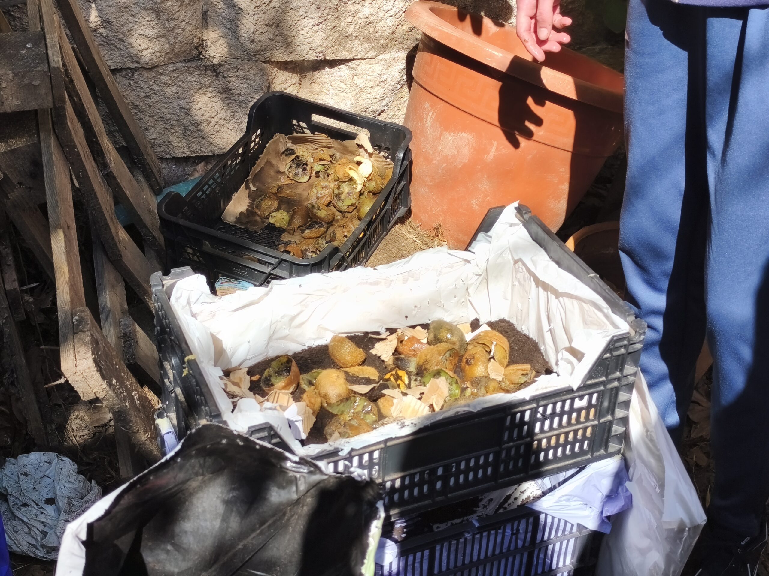 IMG 20260323 114637 scaled